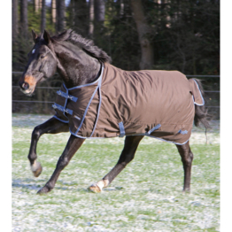 RugBe Pferde Winterdecke IceProtect 300, dunkelbraun/rot, Rückenlänge 125 cm, Gesamtlänge 175 cm