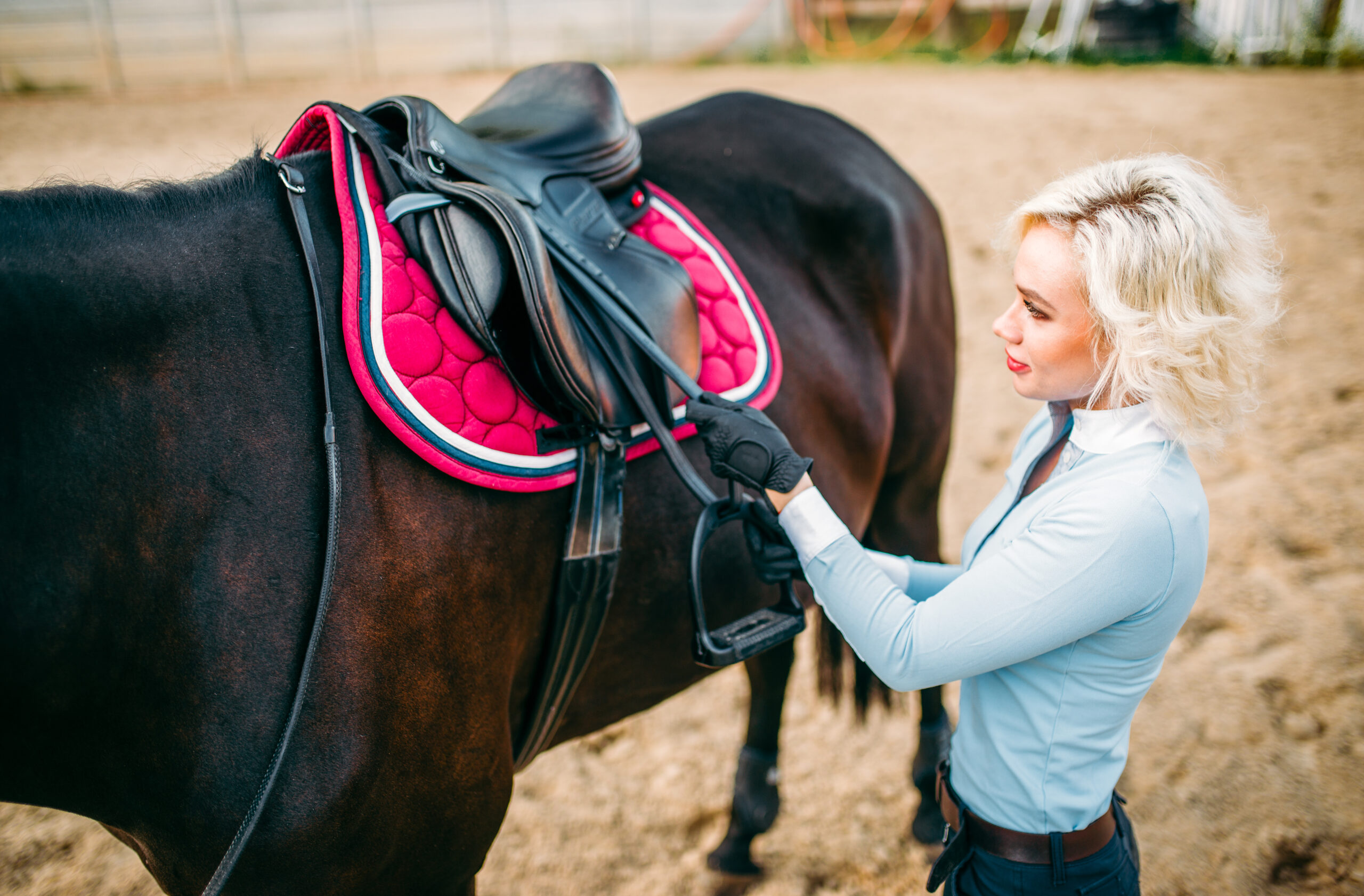 Wie wird dein Pferd richtig gesattelt?