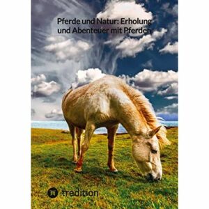 Moritz - Pferde und Natur: Erholung und Abenteuer mit Pferden