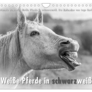 Emotionale Momente: Weiße Pferde in schwarzweiß. (Wandkalender 2024 DIN A4 quer) CALVENDO Monatskalender