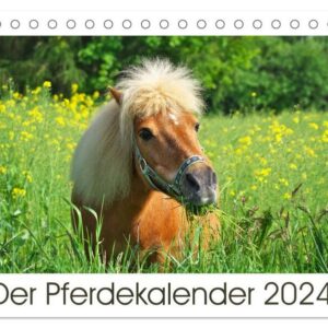 Der Pferdekalender (Tischkalender 2024 DIN A5 quer) CALVENDO Monatskalender