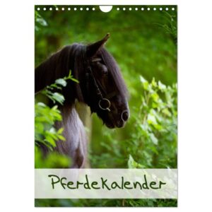 Pferdekalender (Wandkalender 2024 Din A4 Hoch), Calvendo Monatskalender